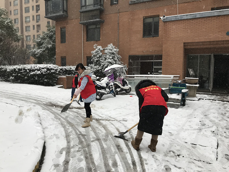雪中送“春廉”清风暖人心1.jpg